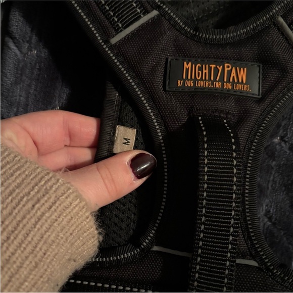 Dog accessories Bundle - Picture 3 of 9